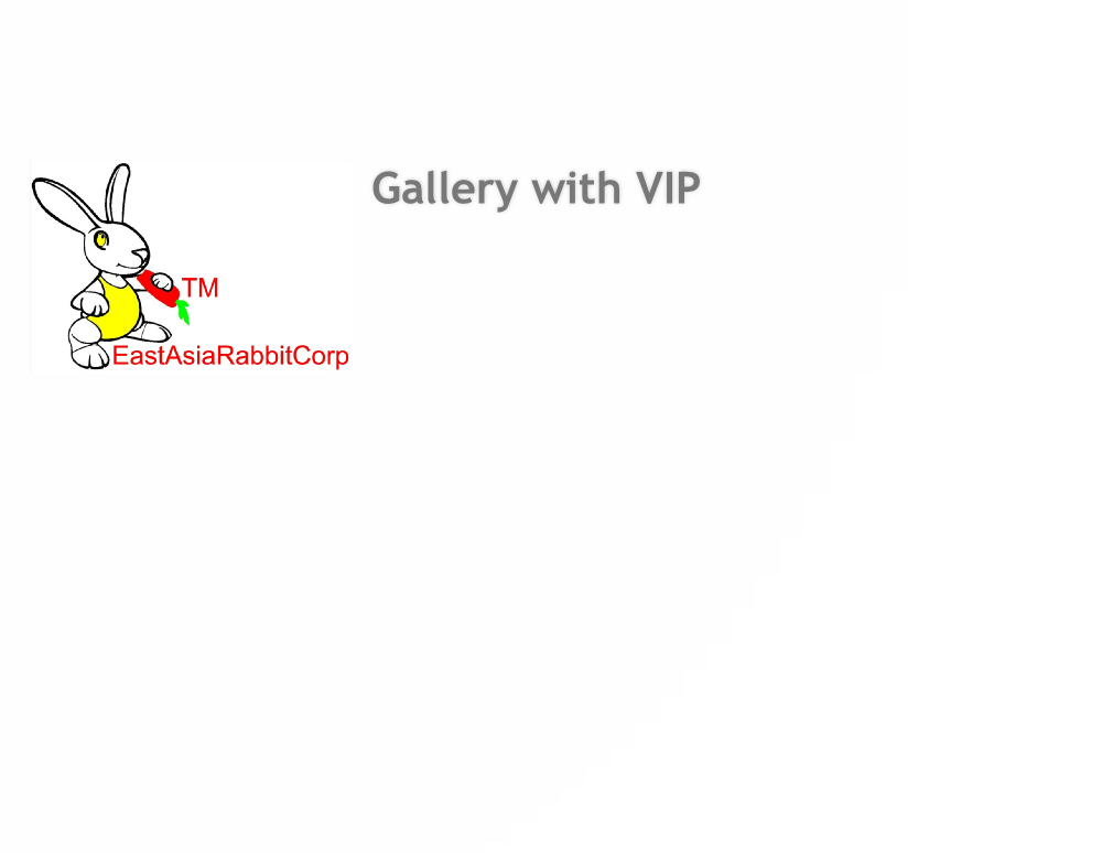 Gallery with VIP